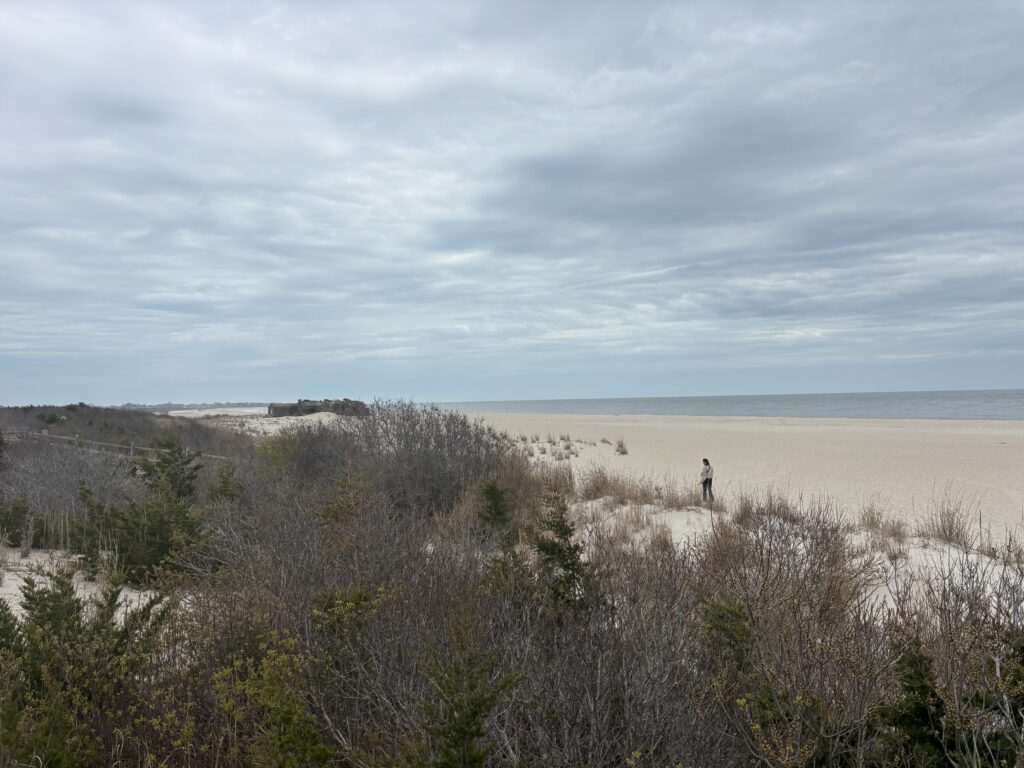 a person walking on a beach (MyCoast AI)