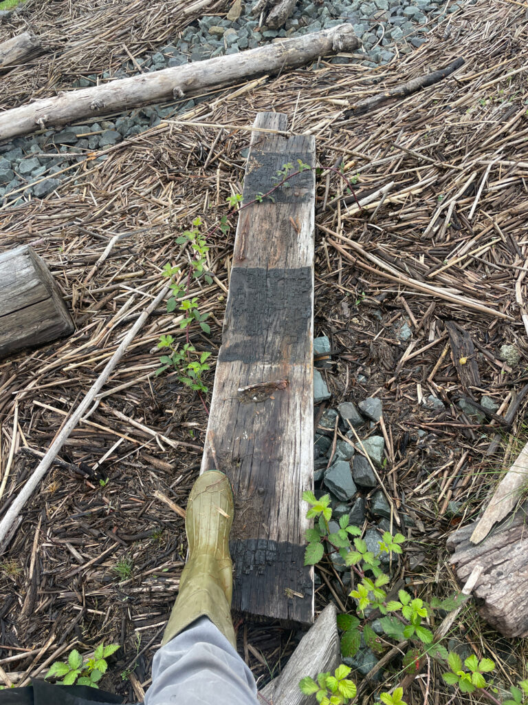 a person's leg with a stick in front of a pile of sticks and branches (MyCoast AI)