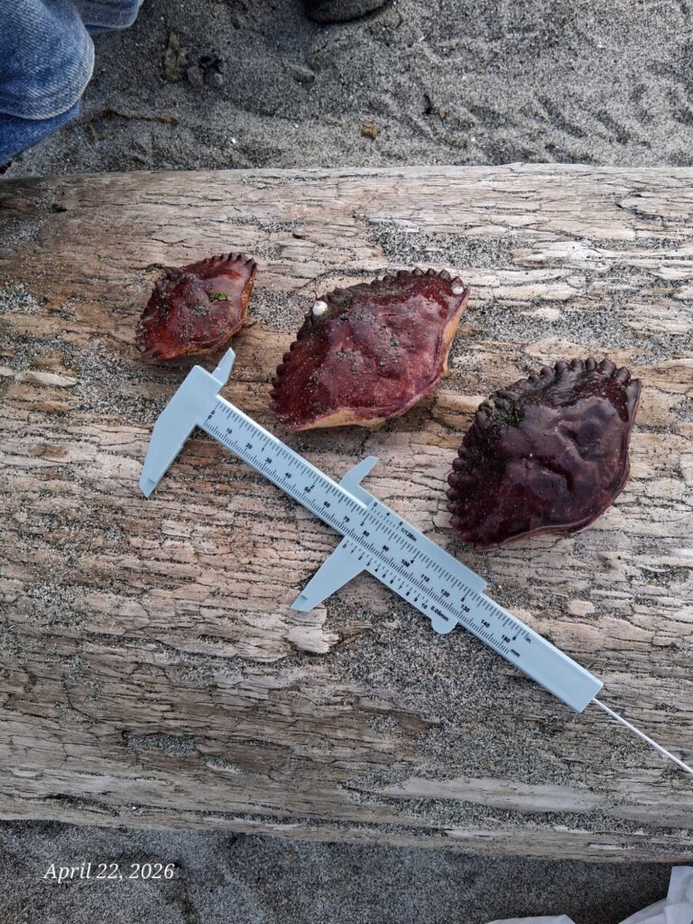 a knife and some meat on a cutting board (MyCoast AI)