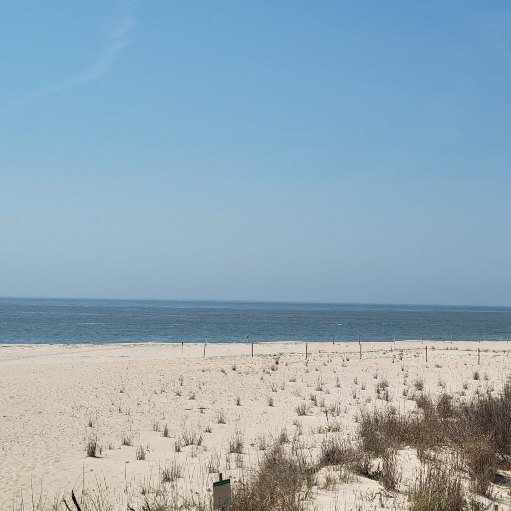 a sandy beach with a body of water in the background (MyCoast AI)
