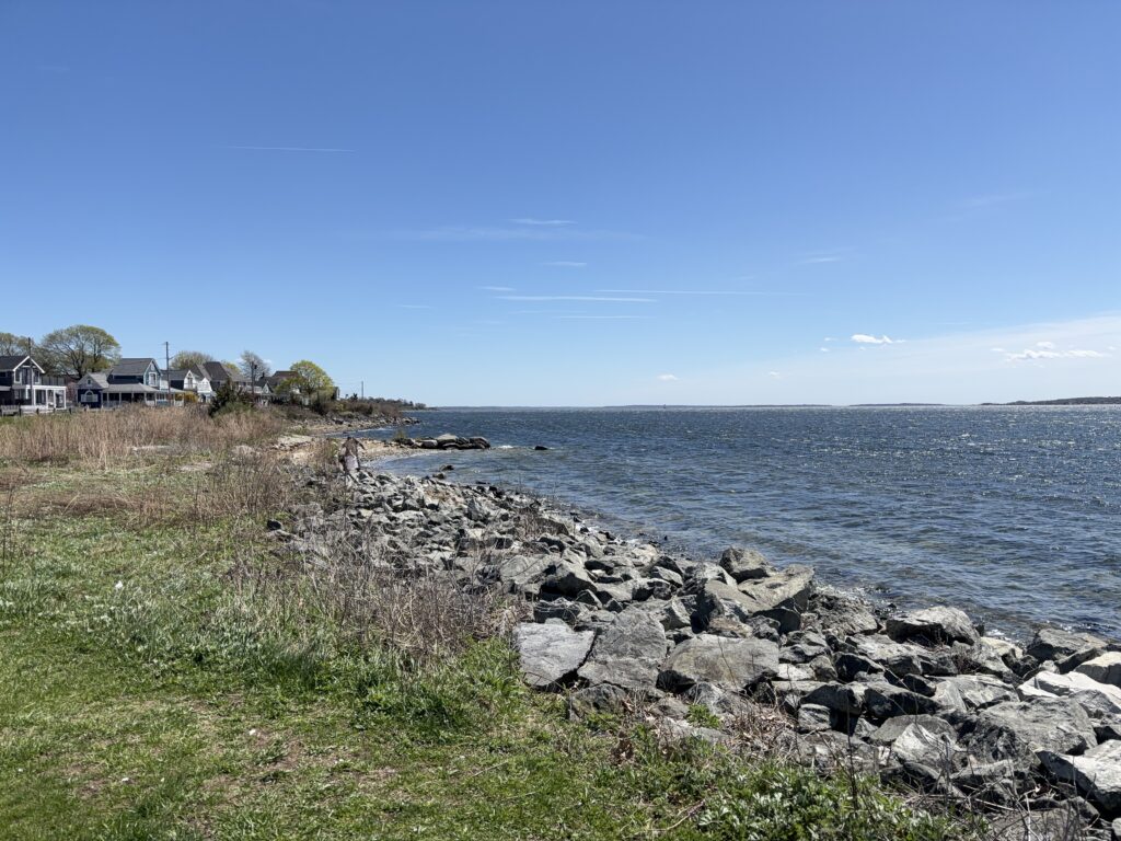 a rocky beach with houses and trees (MyCoast AI)