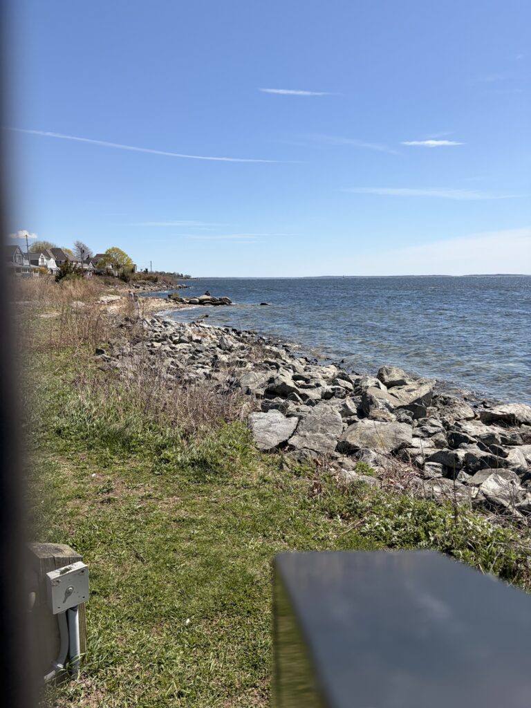 a rocky beach with a body of water in the background (MyCoast AI)