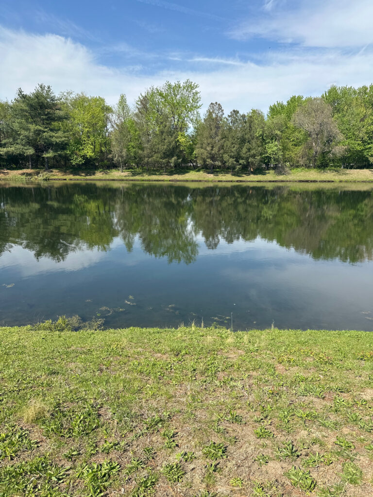 a body of water with trees around it (MyCoast AI)