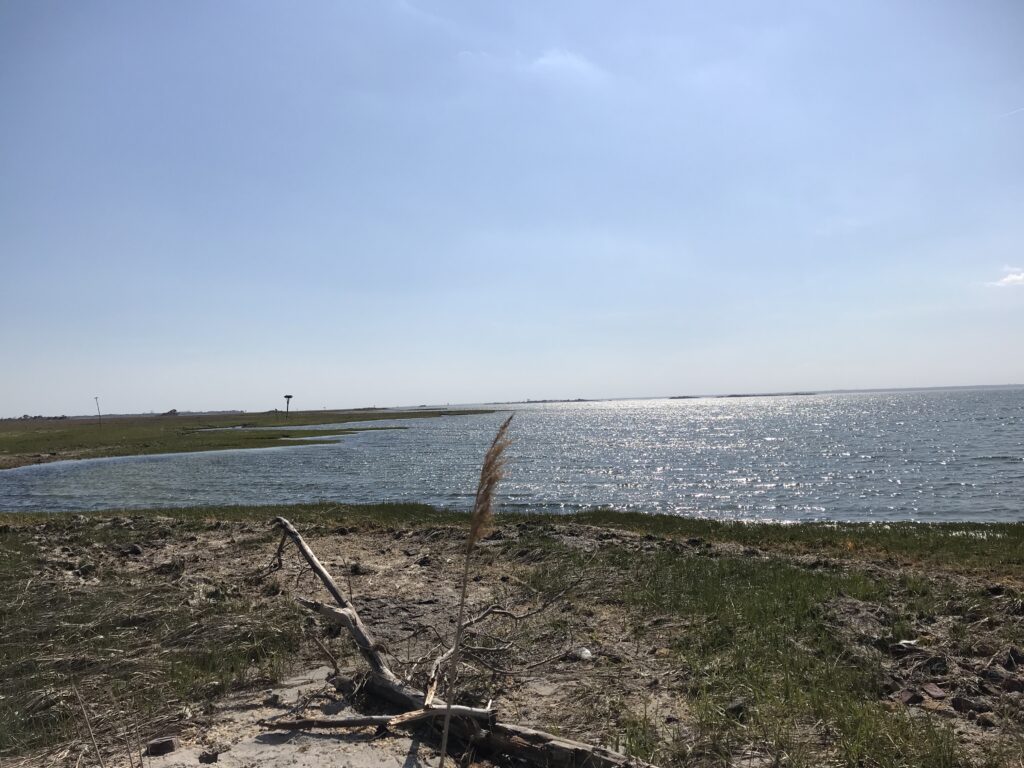 a body of water with grass and trees around it (MyCoast AI)