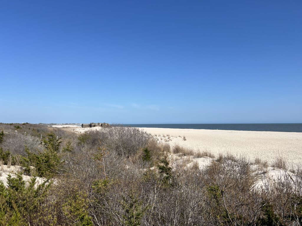 a sandy beach with bushes and trees (MyCoast AI)