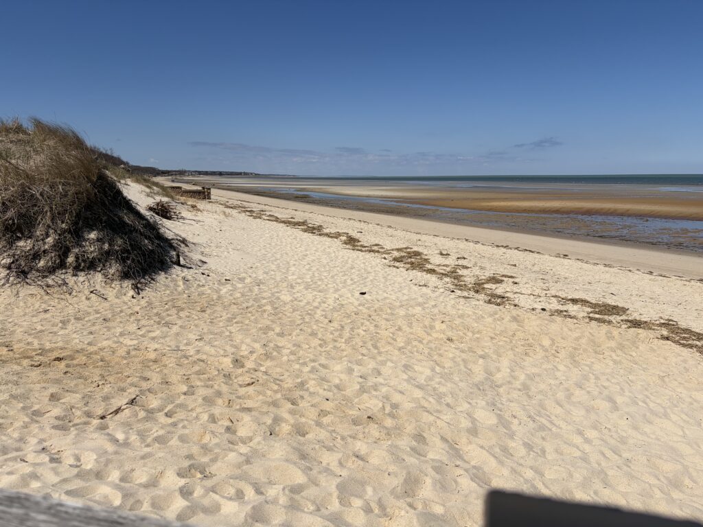 a sandy beach with a hill and blue sky (MyCoast AI)