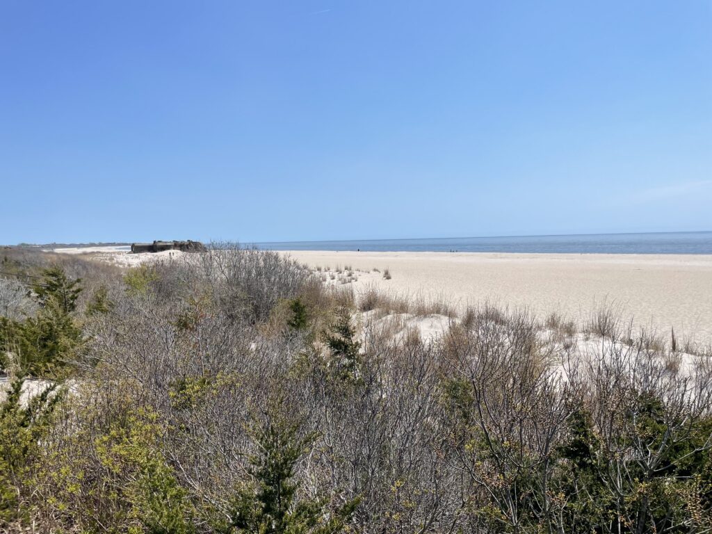 a sandy beach with bushes and trees (MyCoast AI)