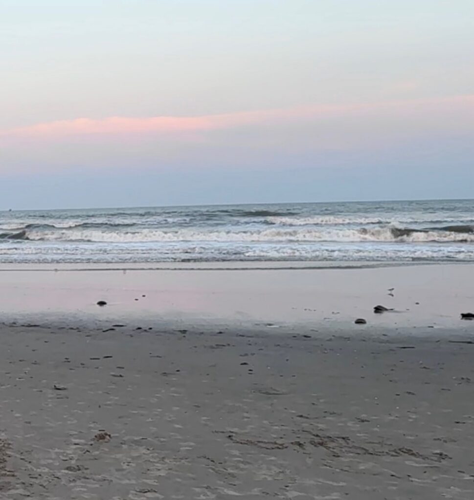 a beach with waves crashing (MyCoast AI)