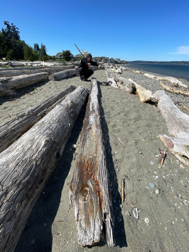 a person fishing on a rocky beach (MyCoast AI)