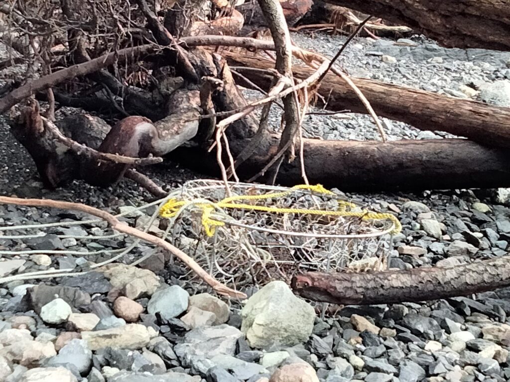 a pile of sticks and branches (MyCoast AI)