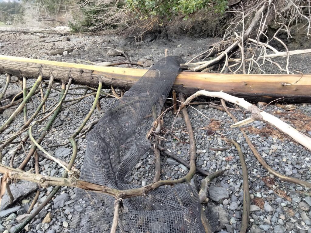 a tree stump with branches and sticks (MyCoast AI)