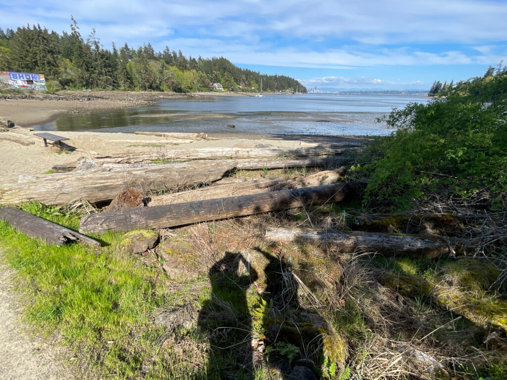 a beach with trees and a body of water (MyCoast AI)