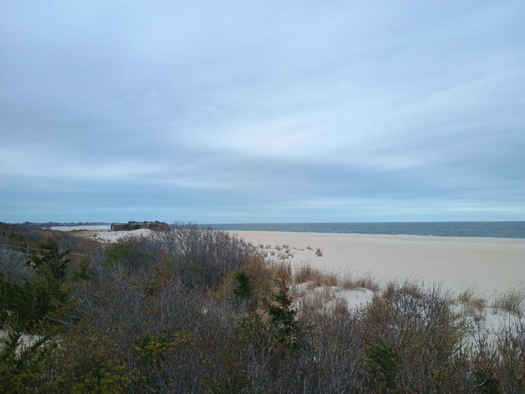 a sandy beach with trees (MyCoast AI)