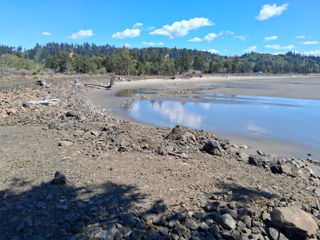 a rocky beach with a body of water and trees in the background (MyCoast AI)