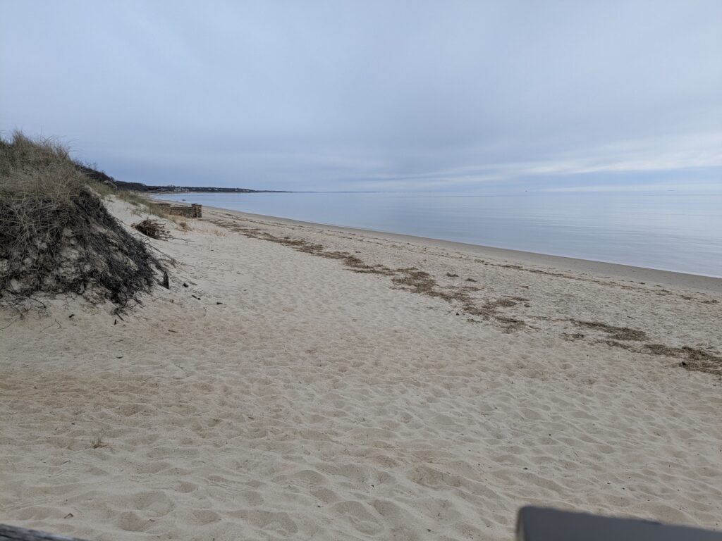 a sandy beach with a body of water in the background (MyCoast AI)