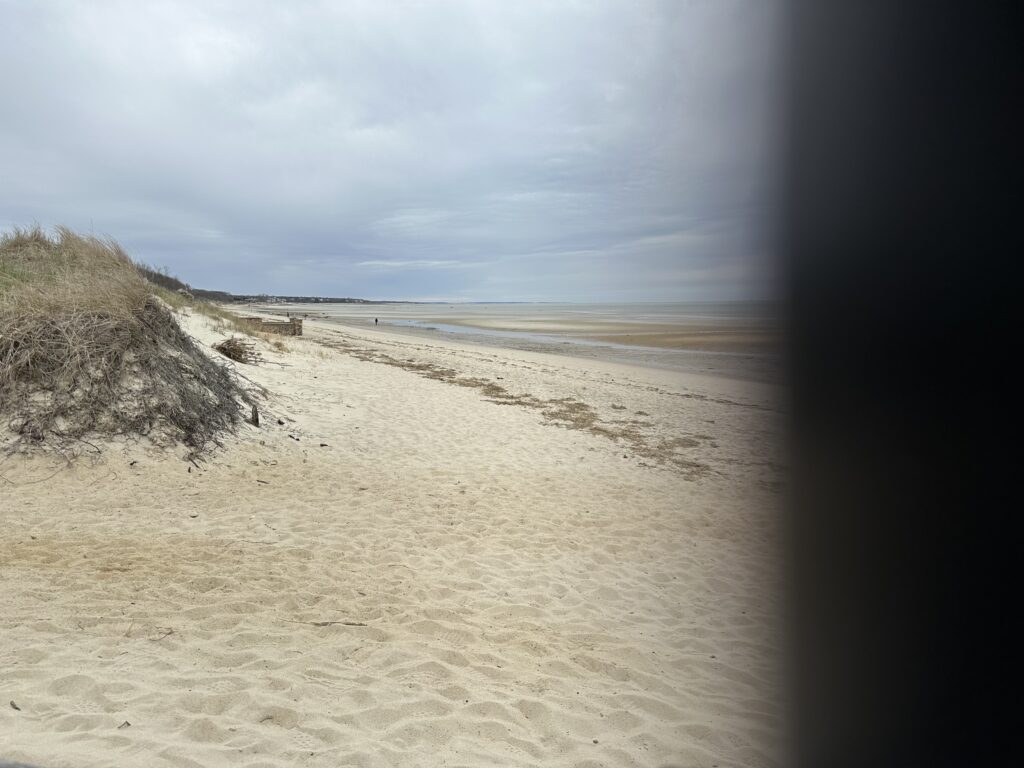 a sandy beach with a hill and a body of water in the background (MyCoast AI)