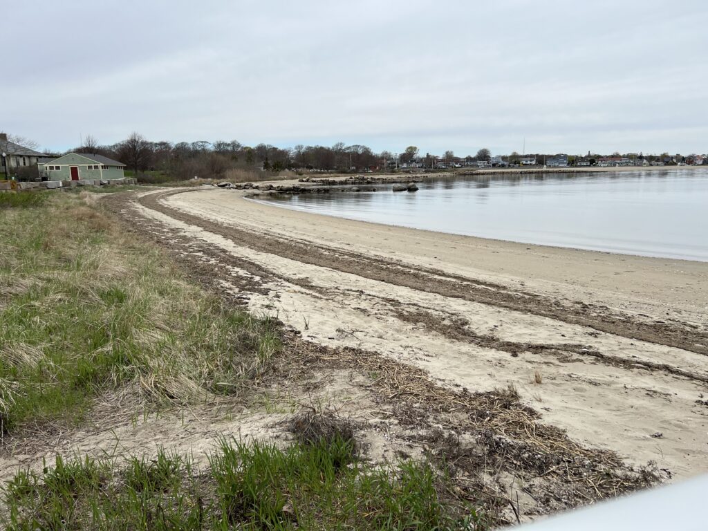 a beach with grass and water (MyCoast AI)