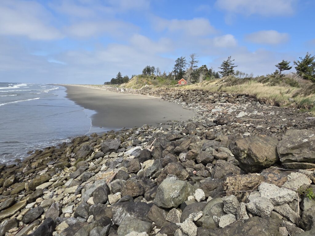 a rocky beach with trees and water (MyCoast AI)