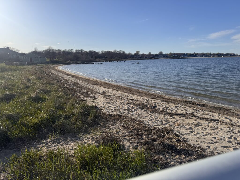 a sandy beach with grass and water (MyCoast AI)