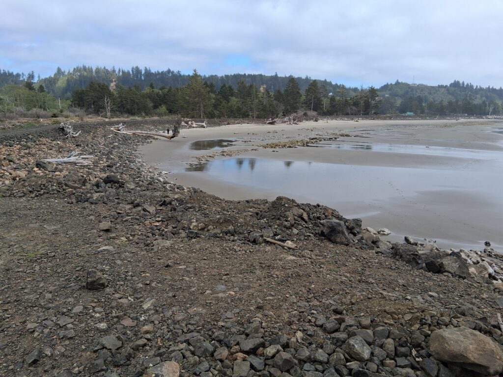 a rocky beach with a body of water and trees in the background (MyCoast AI)