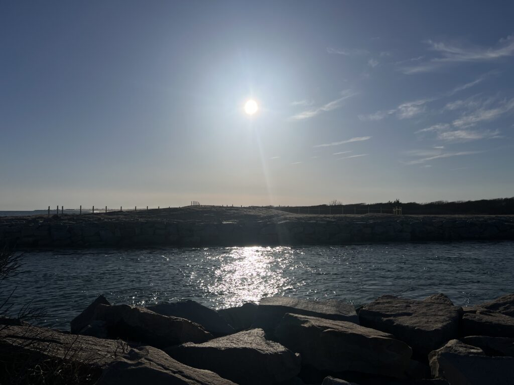 a body of water with rocks and a city in the background (MyCoast AI)