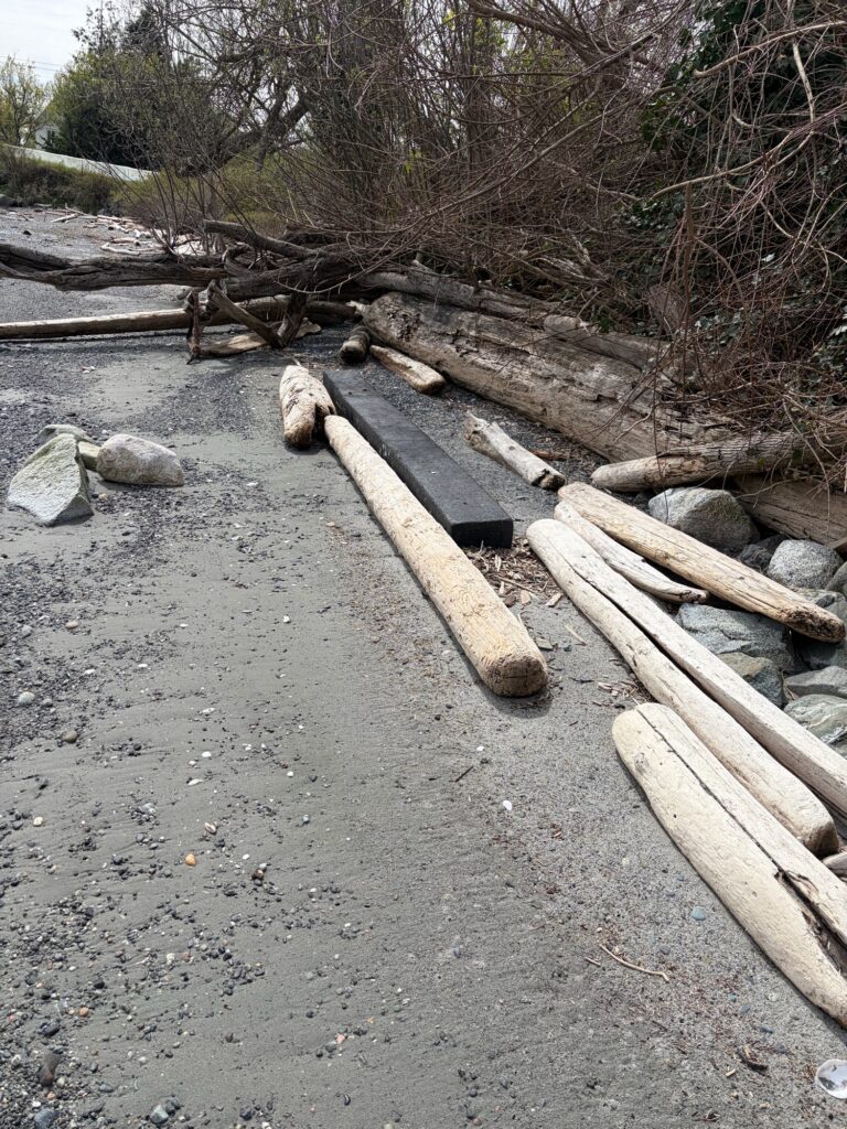a pile of wood and logs (MyCoast AI)