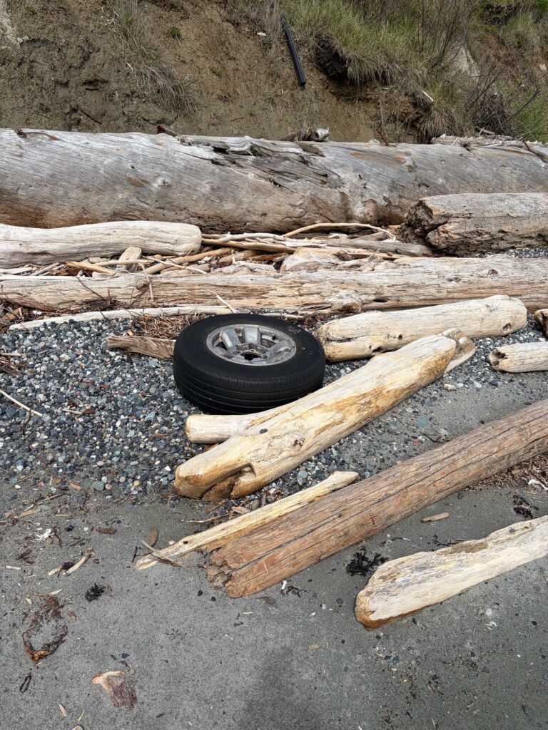a tire on a pile of wood (MyCoast AI)