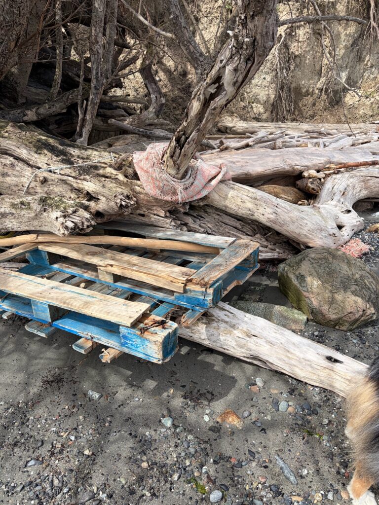 a wooden bench in the woods (MyCoast AI)