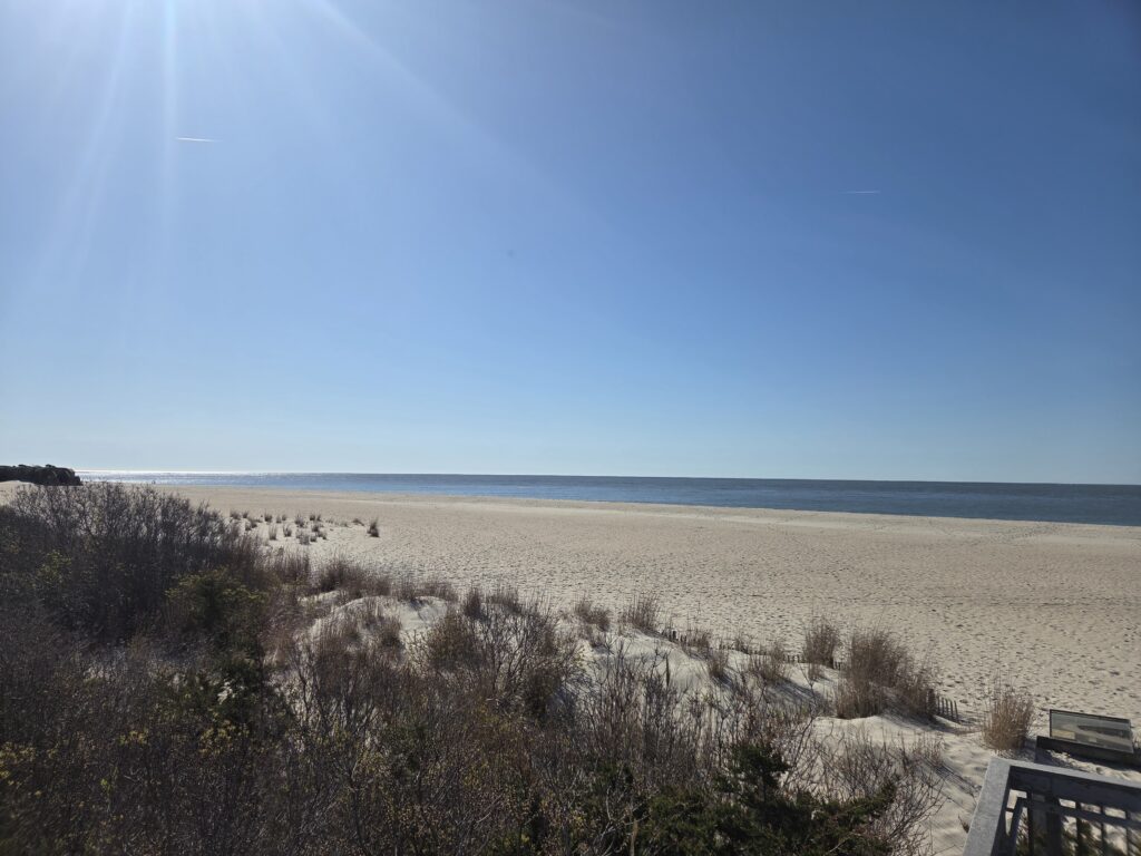 a sandy beach with trees (MyCoast AI)