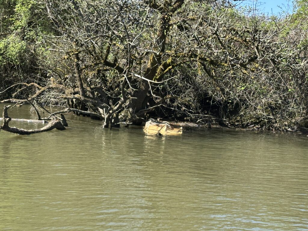 a river with trees on the banks (MyCoast AI)