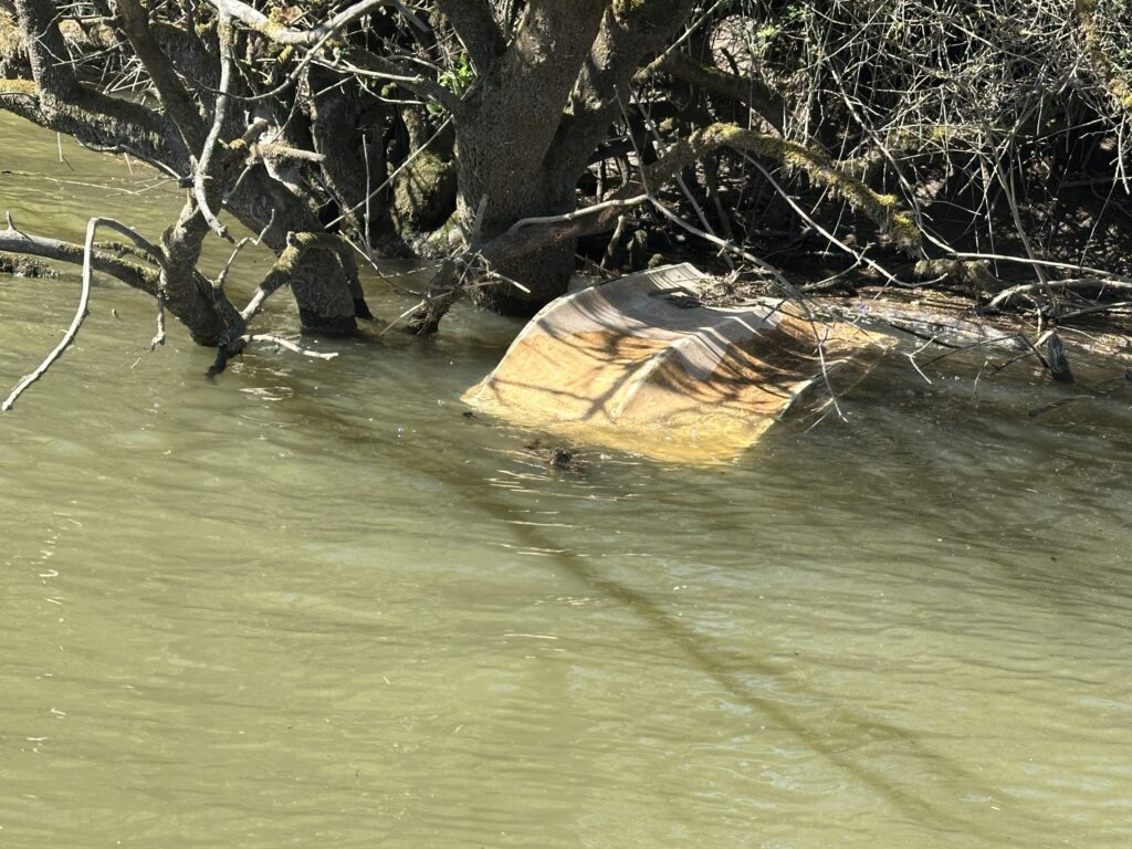 a river with a log in it (MyCoast AI)