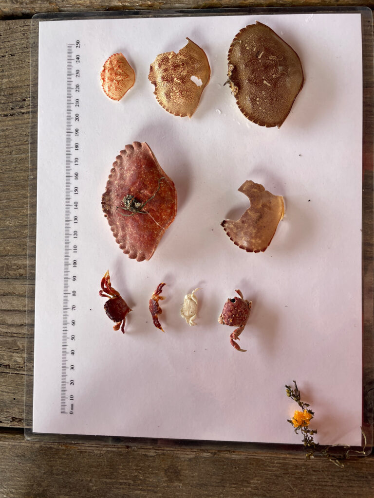 a book with pictures of food (MyCoast AI)