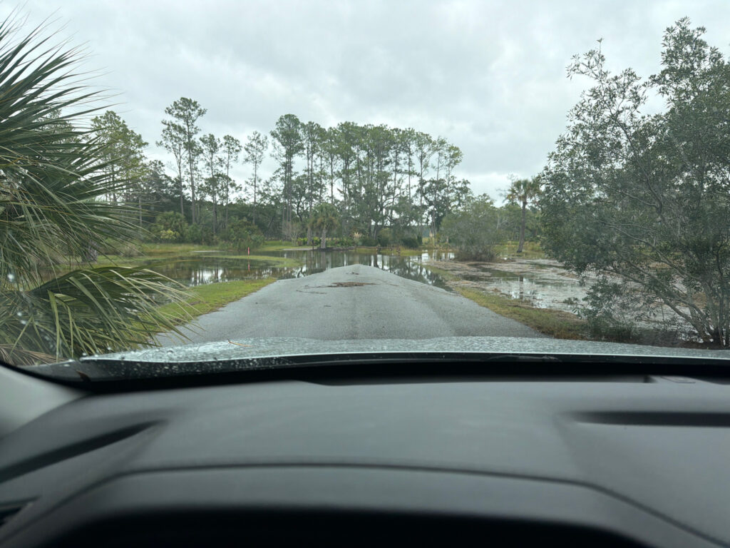 a road with trees on the side (MyCoast AI)