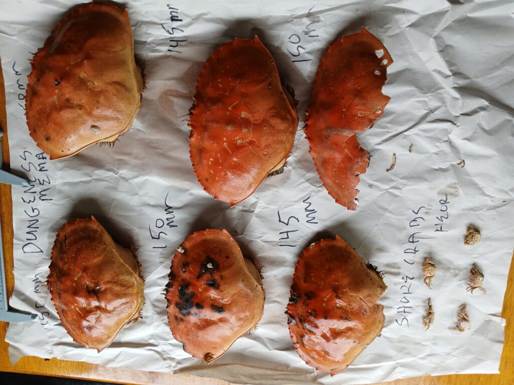 a group of food on a table (MyCoast AI)