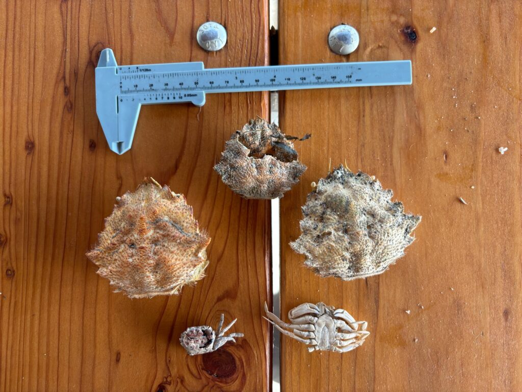 a group of objects on a table (MyCoast AI)