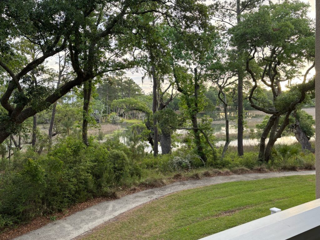 a path through a park (MyCoast AI)