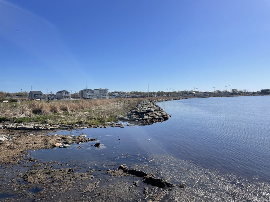 a beach with a body of water and buildings in the background (MyCoast AI)