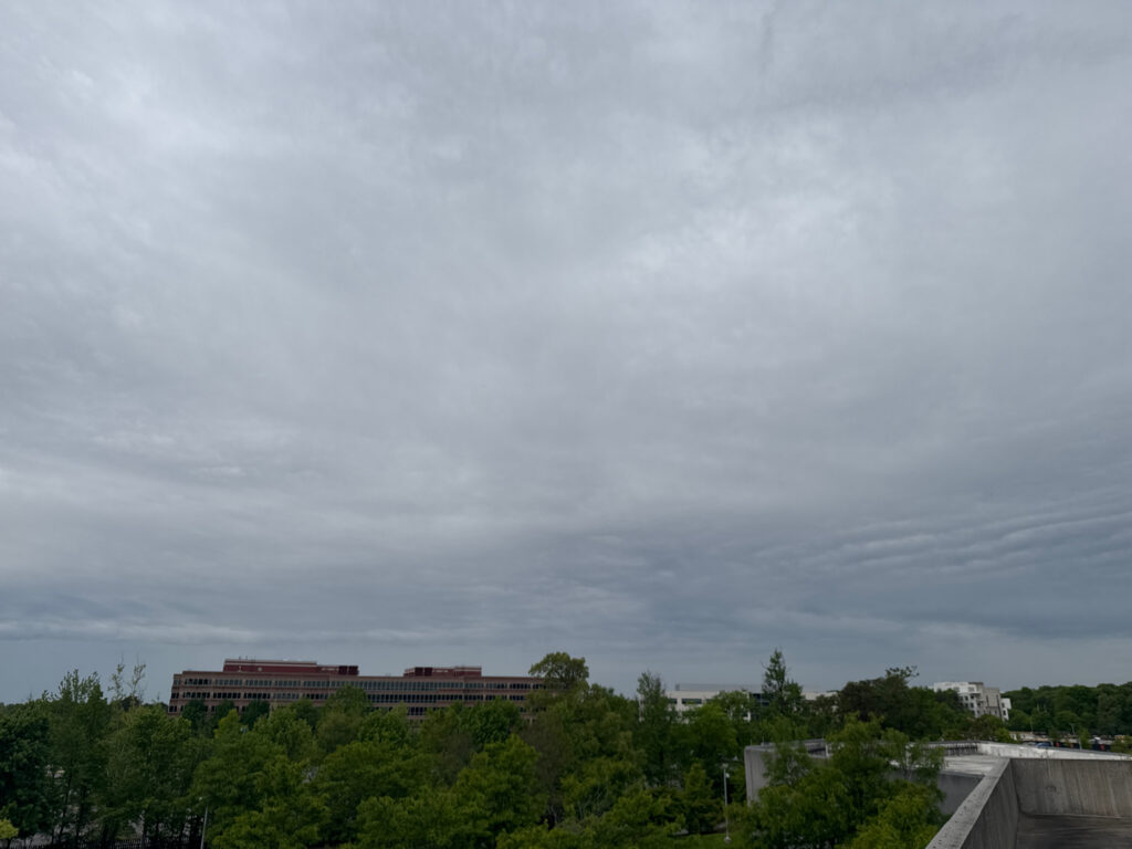 a building behind trees (MyCoast AI)