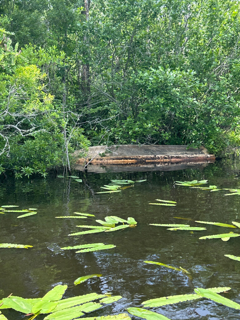 a small bridge over a pond (MyCoast AI)