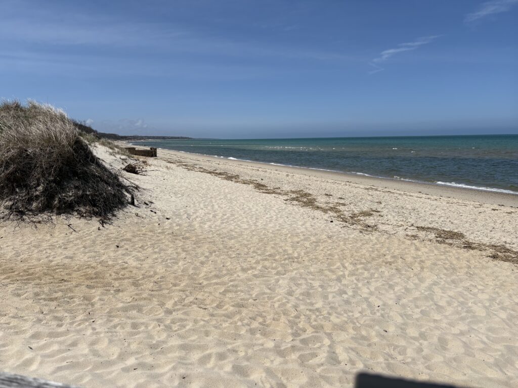 a sandy beach with a body of water in the background (MyCoast AI)
