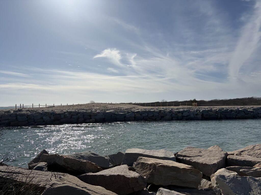 a rocky shoreline with a body of water in the background (MyCoast AI)