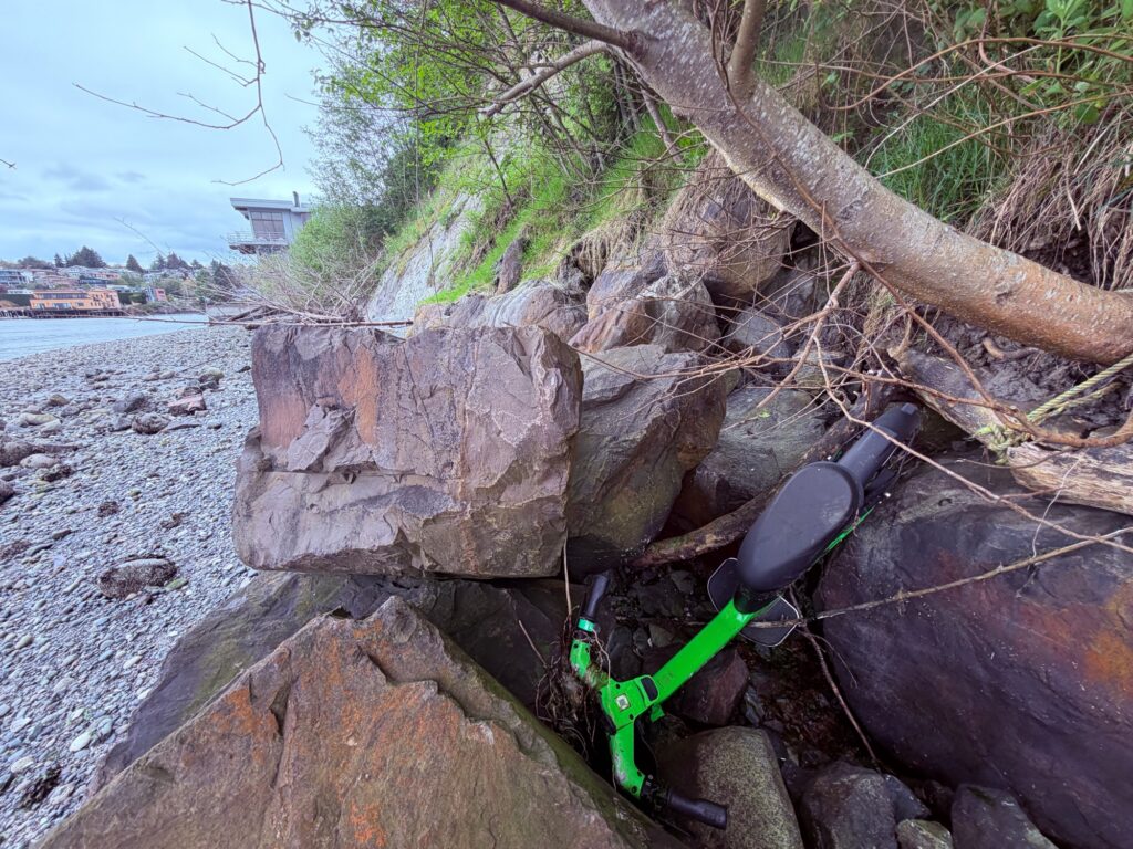 a tree branch and a bicycle on a rocky beach (MyCoast AI)