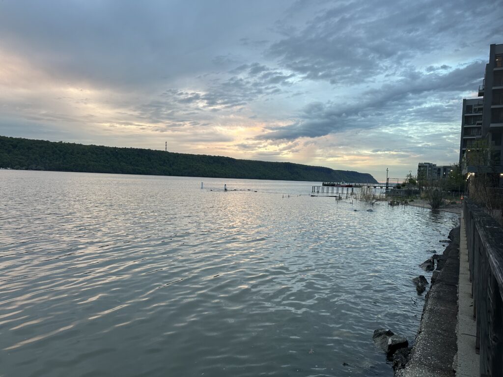 a body of water with a dock and buildings along it (MyCoast AI)