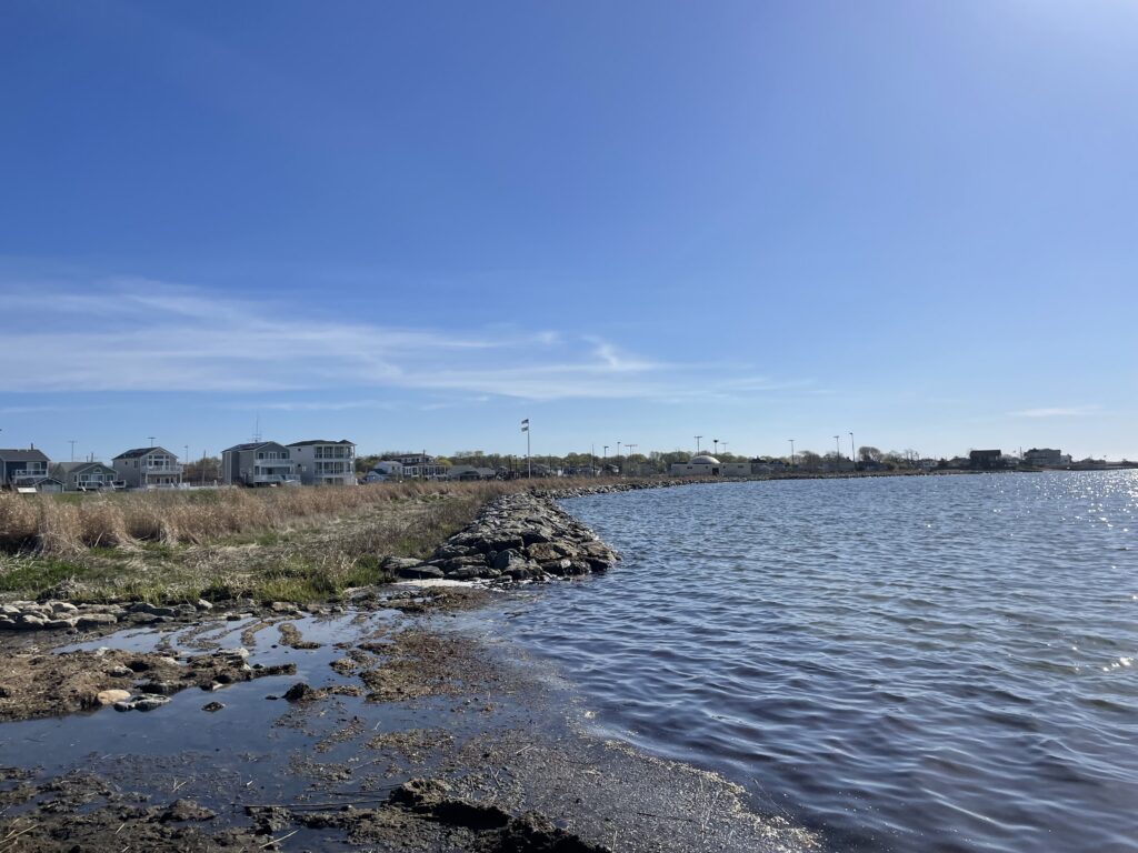 a body of water with buildings in the background (MyCoast AI)