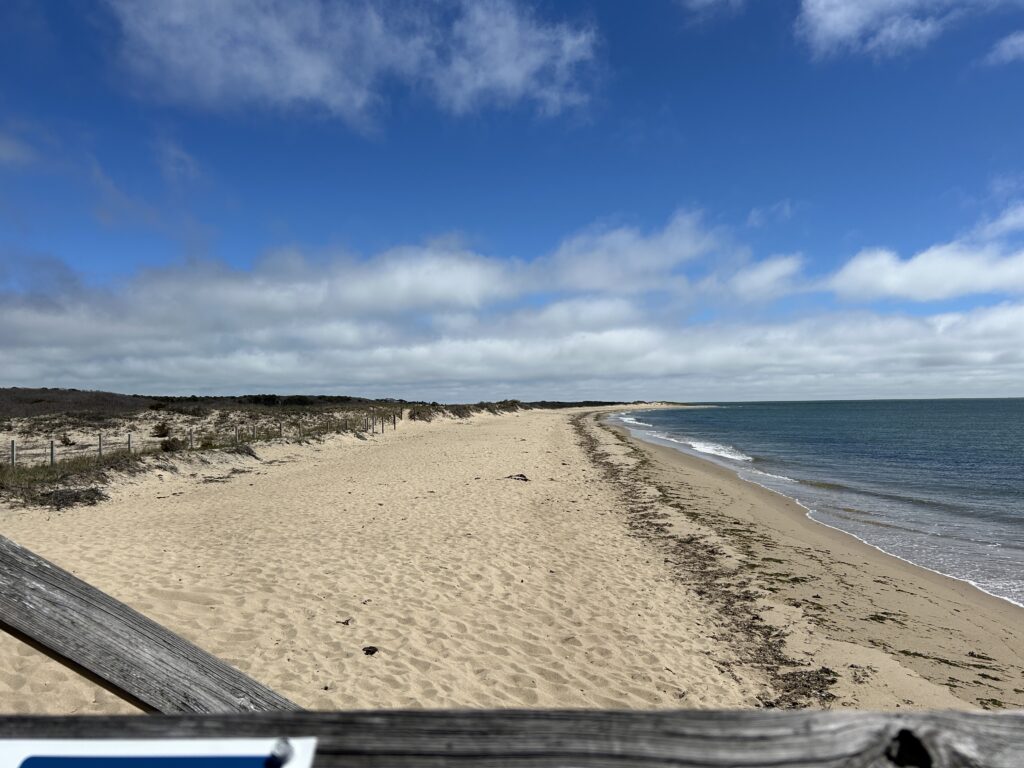 a sandy beach with a railing (MyCoast AI)
