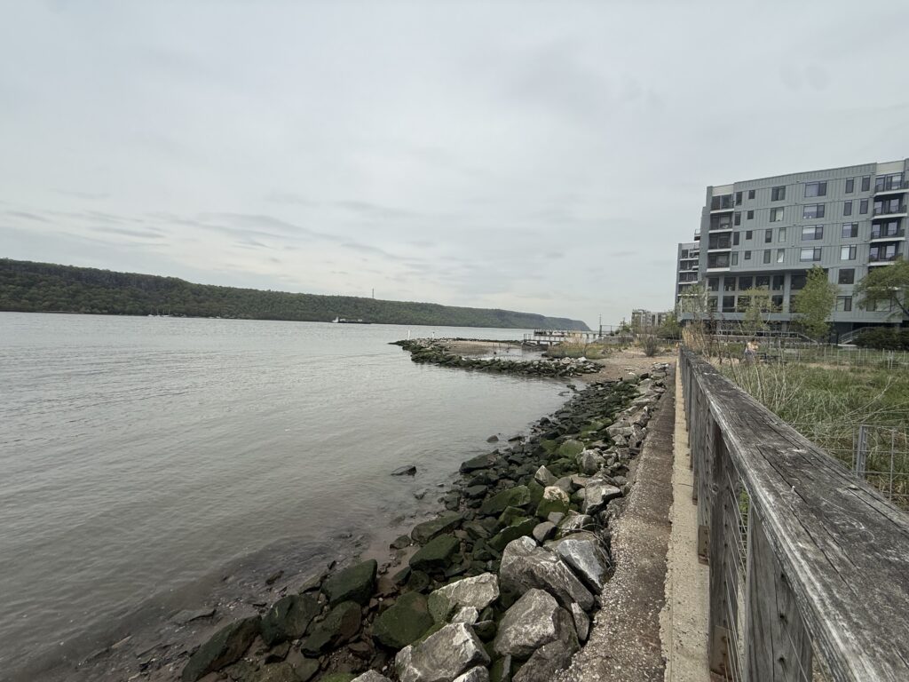 a body of water with rocks and grass by it (MyCoast AI)