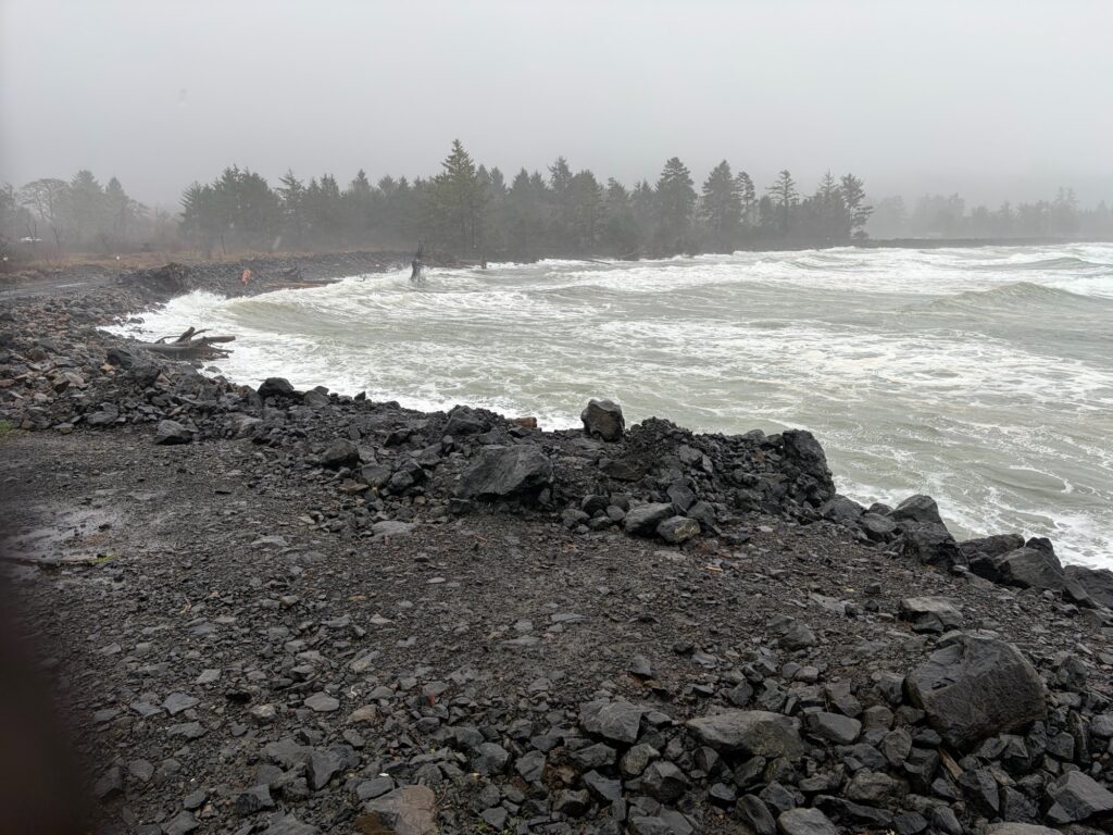 a rocky beach with trees in the background (MyCoast AI)