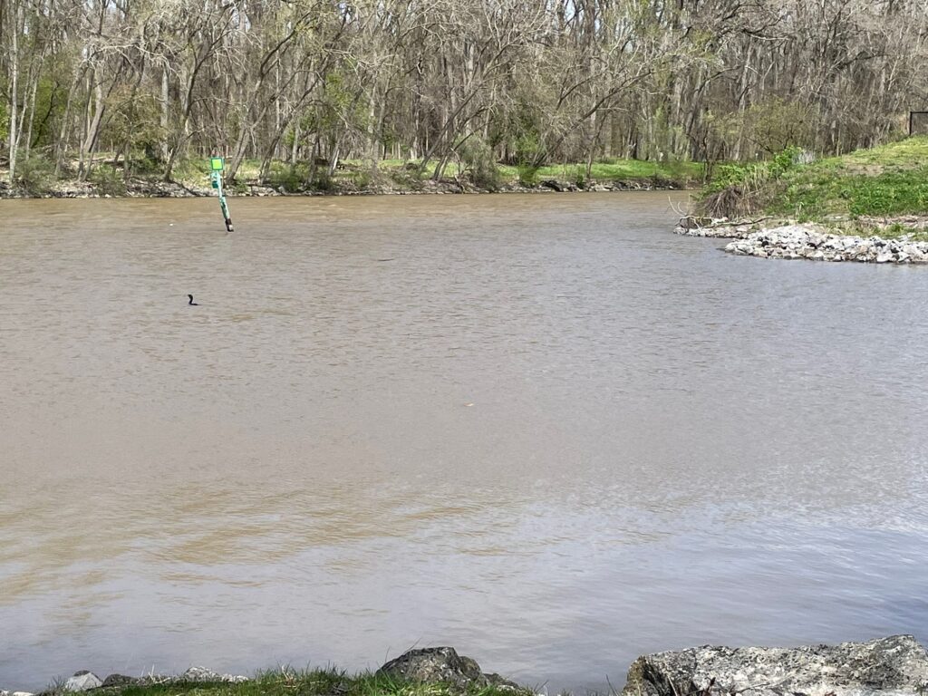a person kite surfing in a river (MyCoast AI)