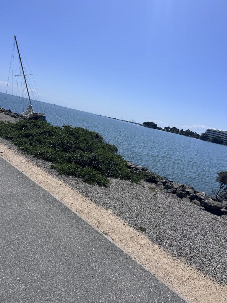 a road next to a body of water (MyCoast AI)