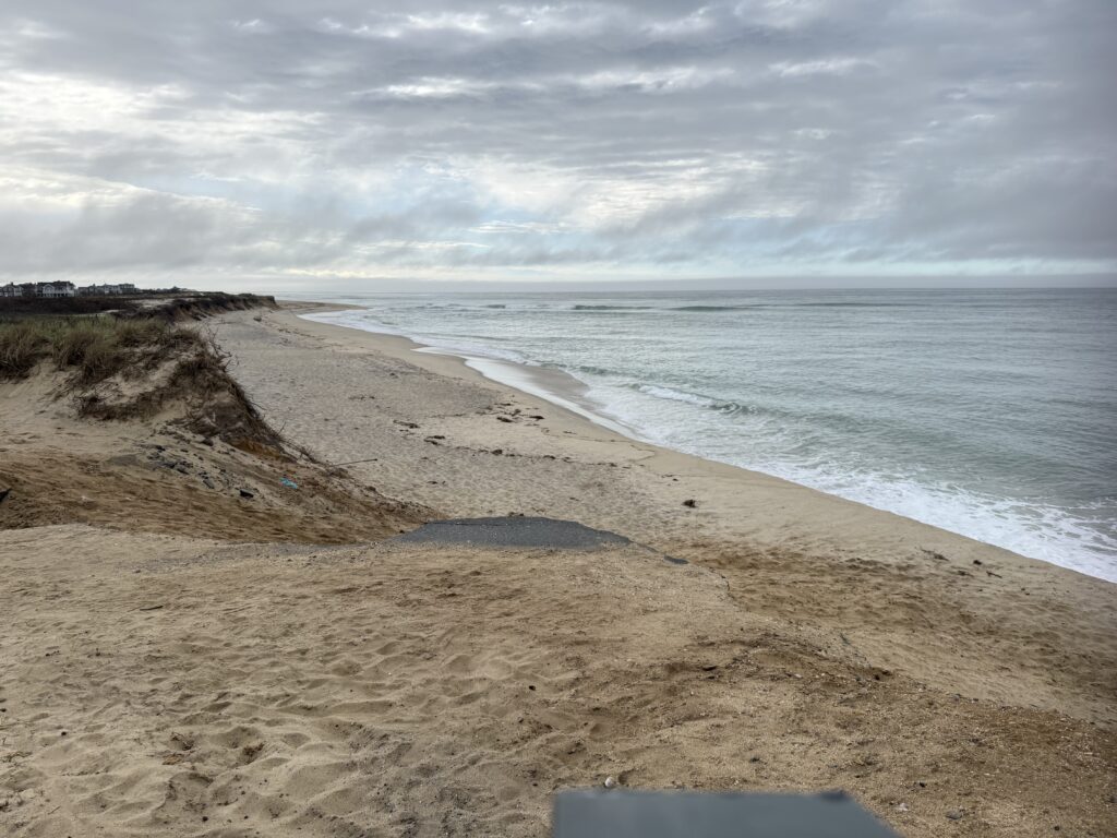 a sandy beach with a body of water in the background (MyCoast AI)